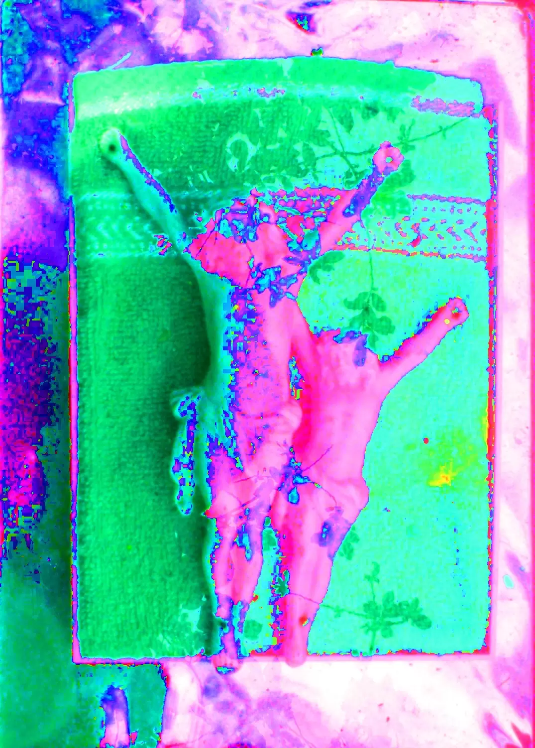 p1050882_cr1