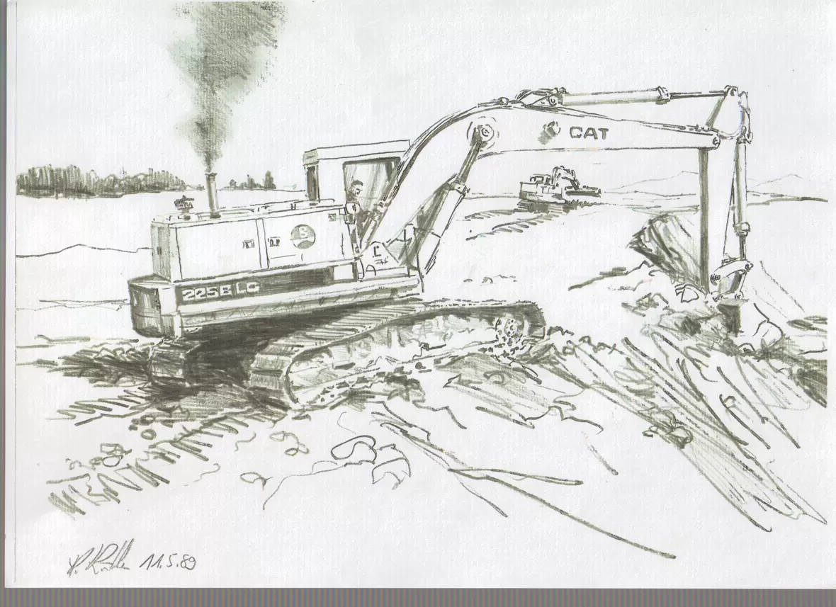 cat1