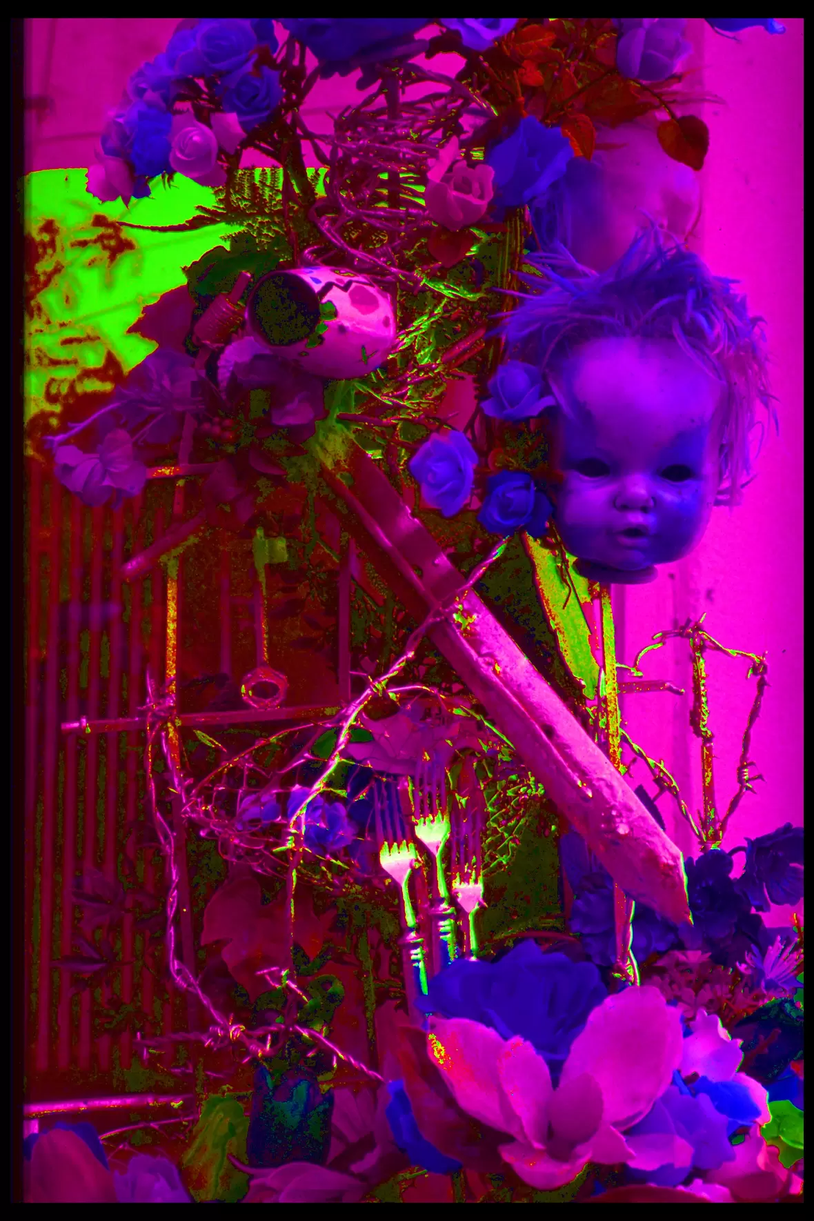img0009b
