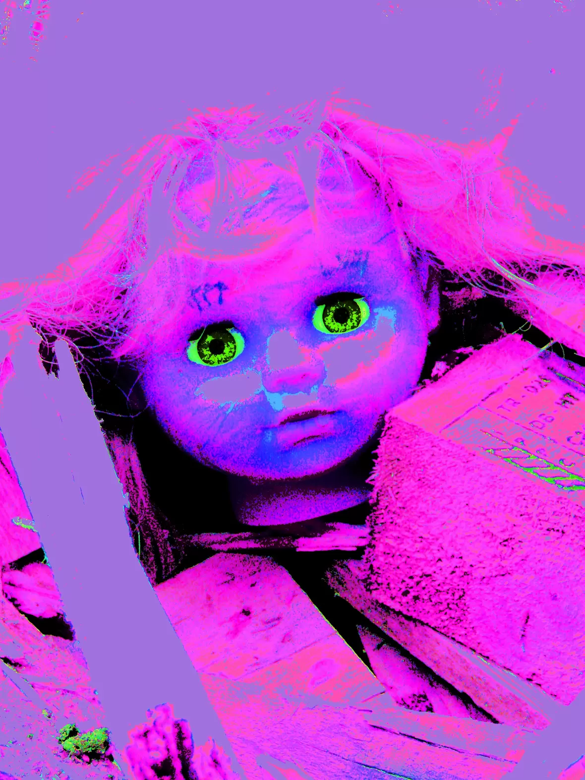 p1030793b