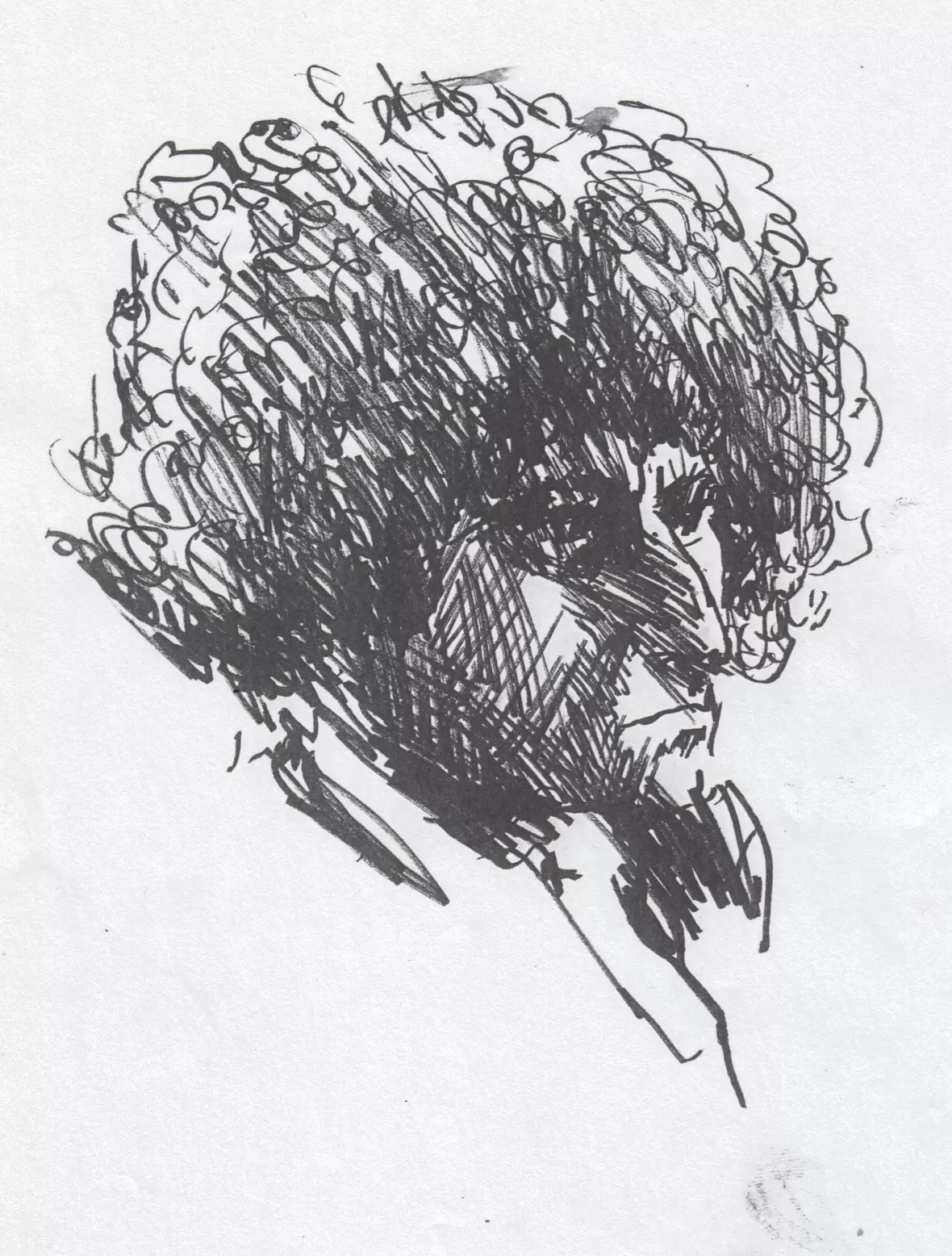central-1980-02-02-03-ahlmed