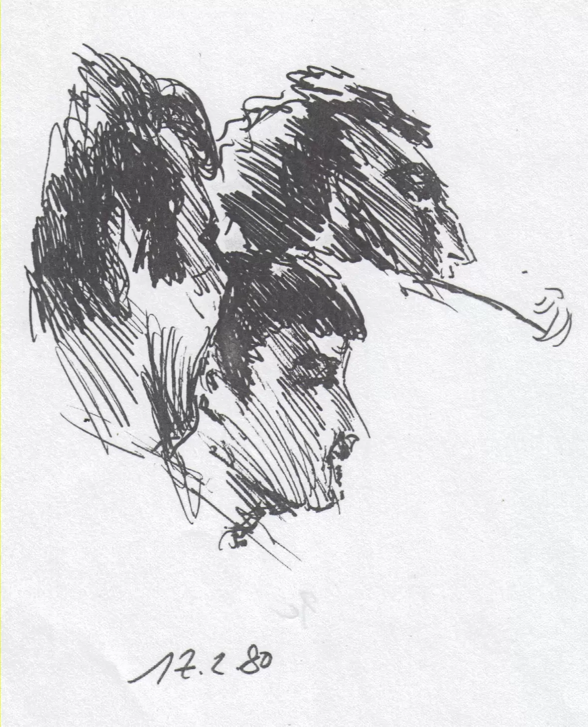 central-1980-02-17-01-studie-fremde