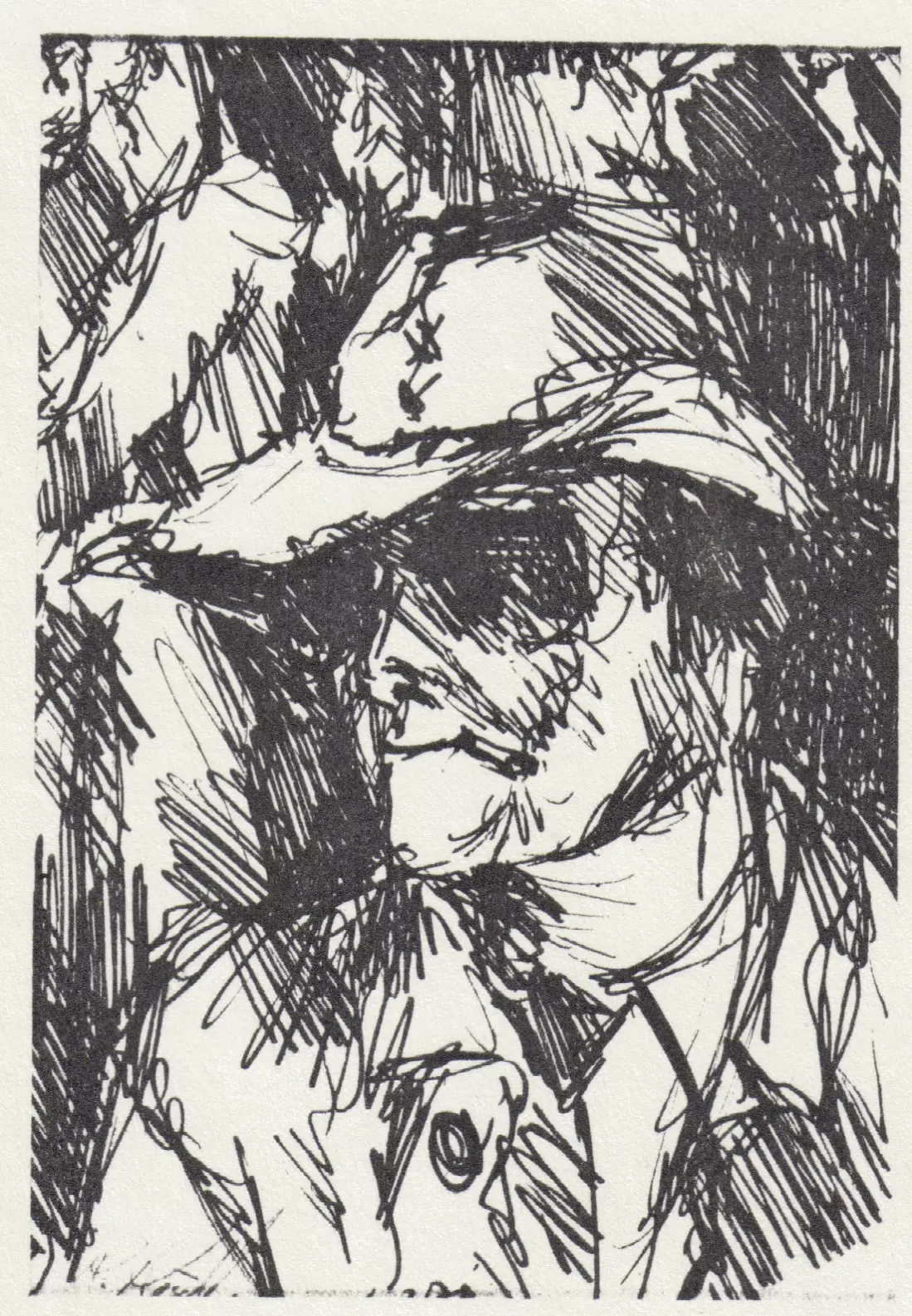hertlein-1981-schmidt
