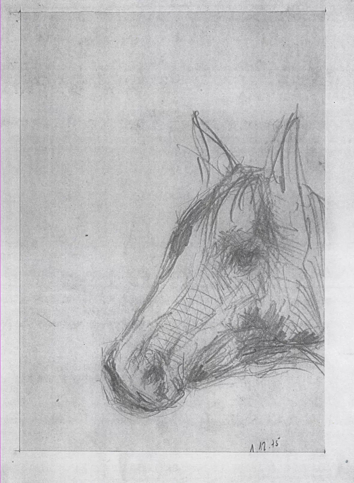 saliter-1975-12-01-01-pferd-praktikum