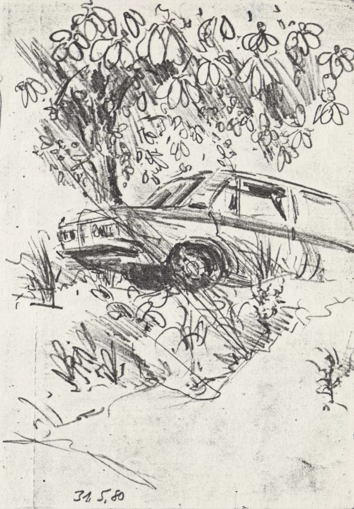 skizze-1980-05-31-00-auto-baum