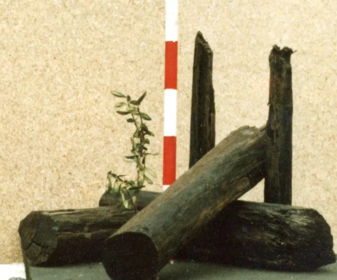 1982-entwurf-aok-nd001